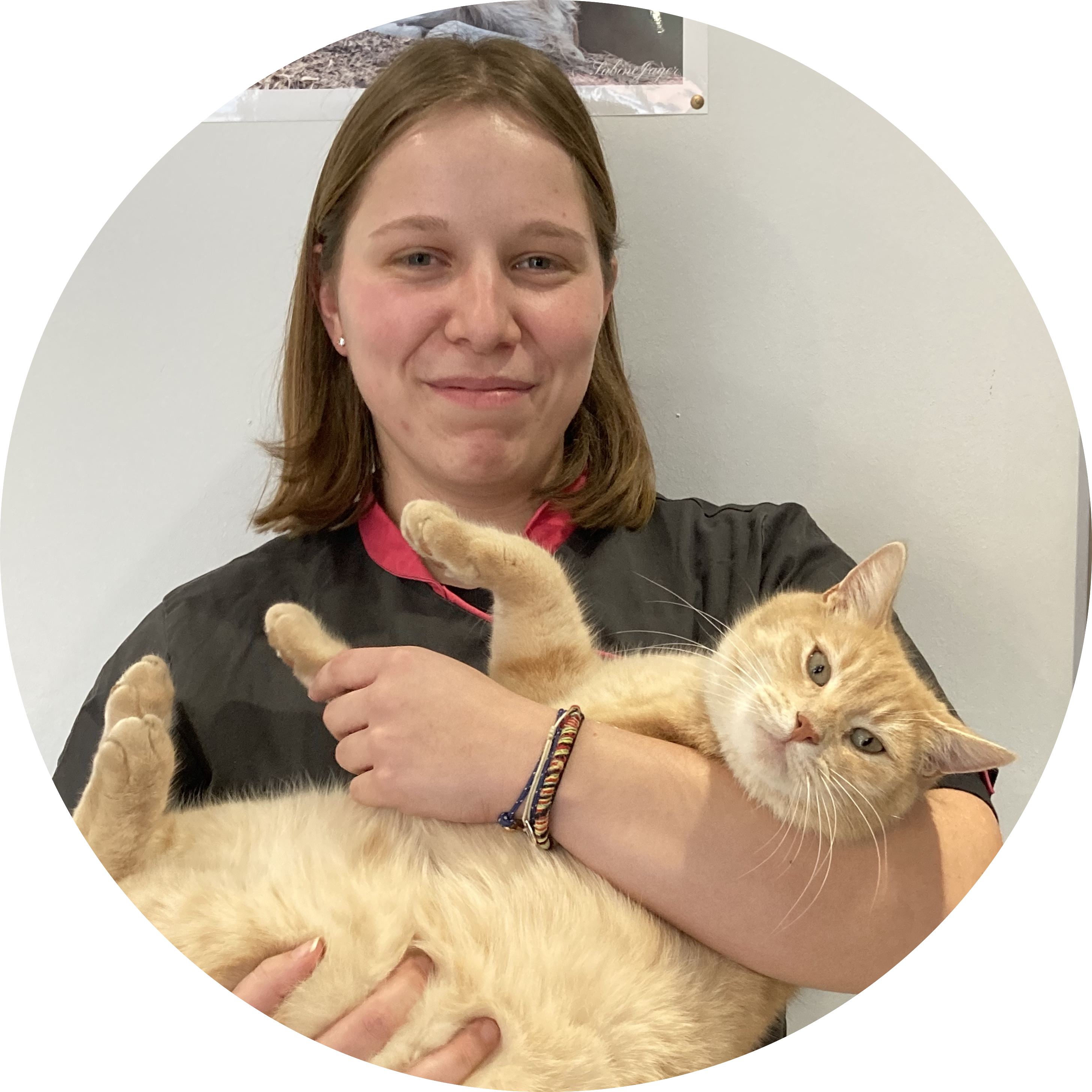 photo de profil de l'assistante Elsa