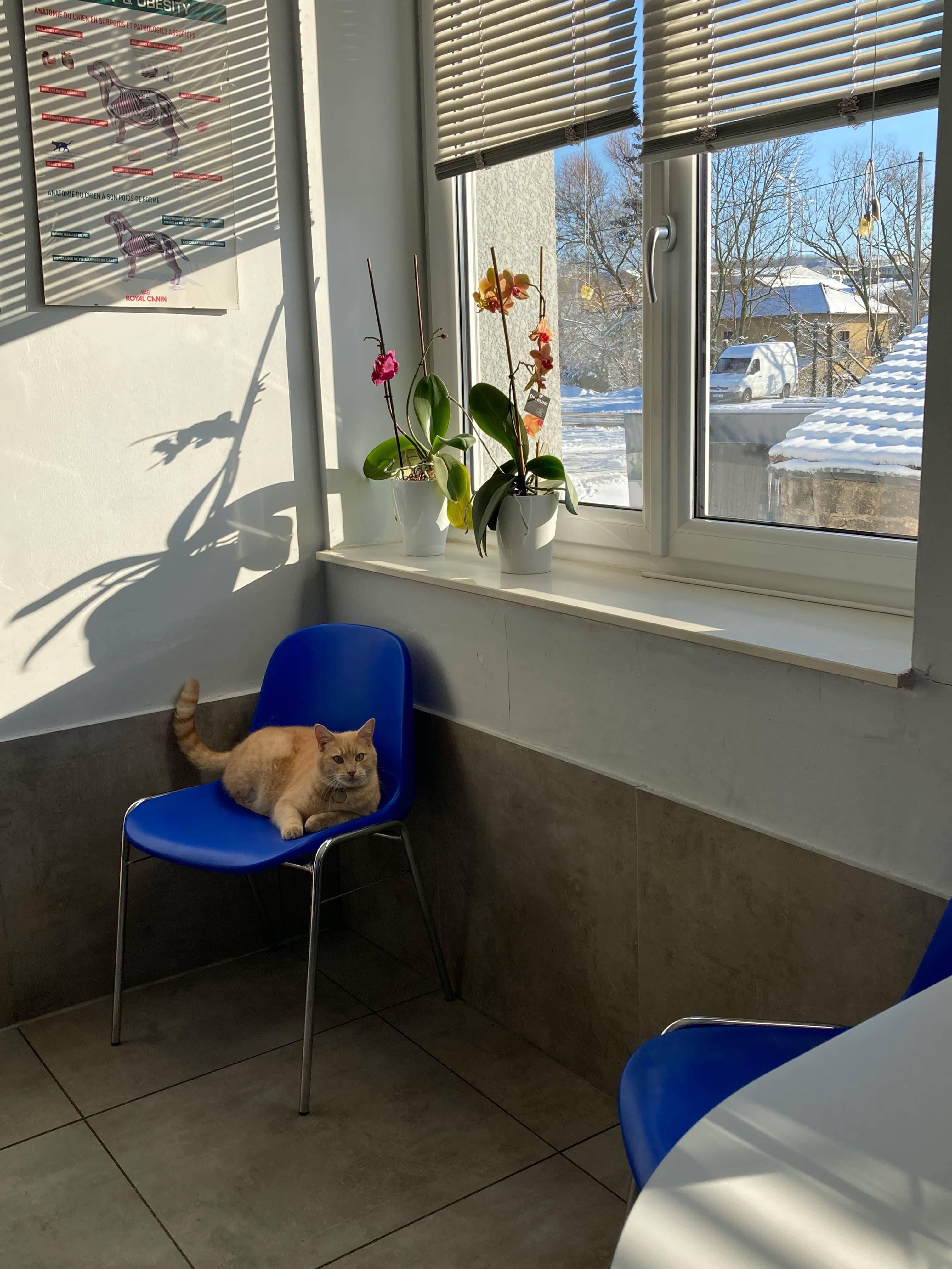 photo de la salle de consultation