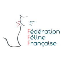 site internet dédié au bien-être des chats