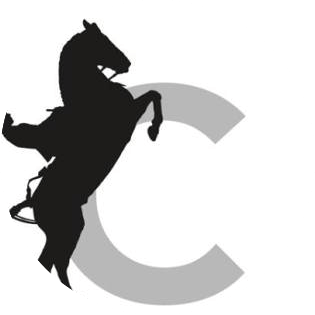 site de l'institut français du cheval et de l'équitation